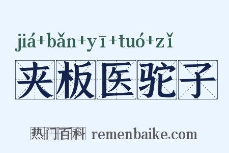夹板医驼子是什么意思的图片